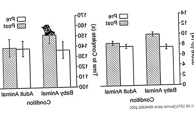 Afbeelding via plosone.org