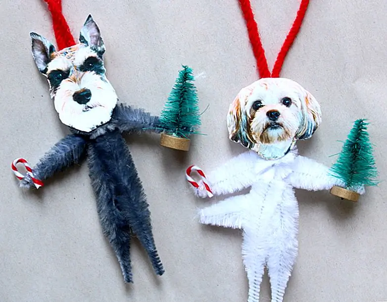 Õnne Pawlidays meist siin BarkPost! Õnne Pawlidays meist siin BarkPost!