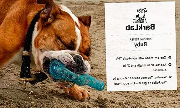 3. Thinkers Natural Salmon Smart Dog Treats Deze lekkere hapjes zullen de hersencapaciteit van Bowser met het uur vergroten. Waarom goed gedrag belonen met slechte traktaties? Thinkers ™ bevatten geen kunstmatige conserveermiddelen of vleesbijproducten. Mmmm, gezond! 3. Thinkers Natural Salmon Smart Dog Treats Deze lekkere hapjes zullen de hersencapaciteit van Bowser met het uur vergroten. Waarom goed gedrag belonen met slechte traktaties? Thinkers ™ bevatten geen kunstmatige conserveermiddelen of vleesbijproducten. Mmmm, gezond!