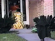 Zdroje GIF: 1, 2, 3, 4 Zdroje GIF: 1, 2, 3, 4